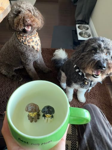 Photo shared with Lola’s mugs feedback