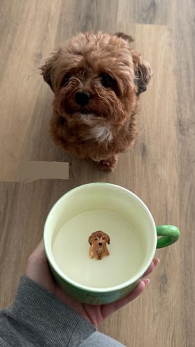 Photo shared with Paulina’s mugs feedback